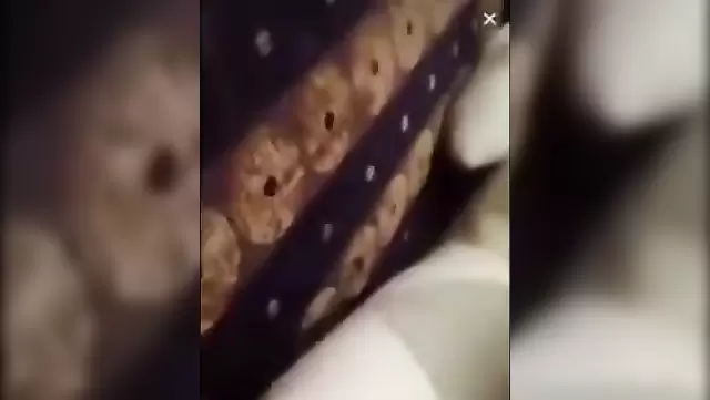 Azerbaijanis film themselves having homemade sex